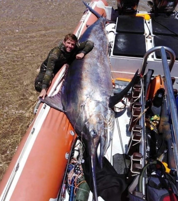 The Best Rob Allen Spearguns Spearfishing Australia