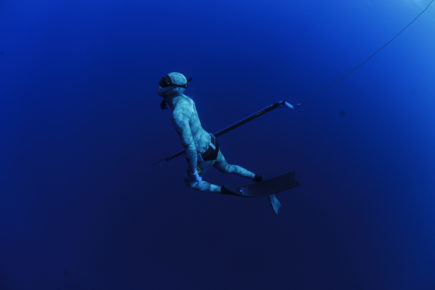 Spearfishing in Mozambique