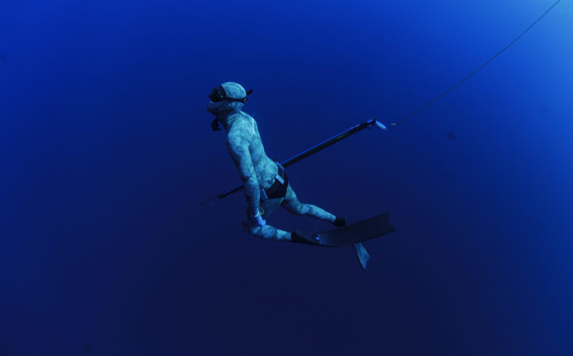 Spearfishing in Mozambique