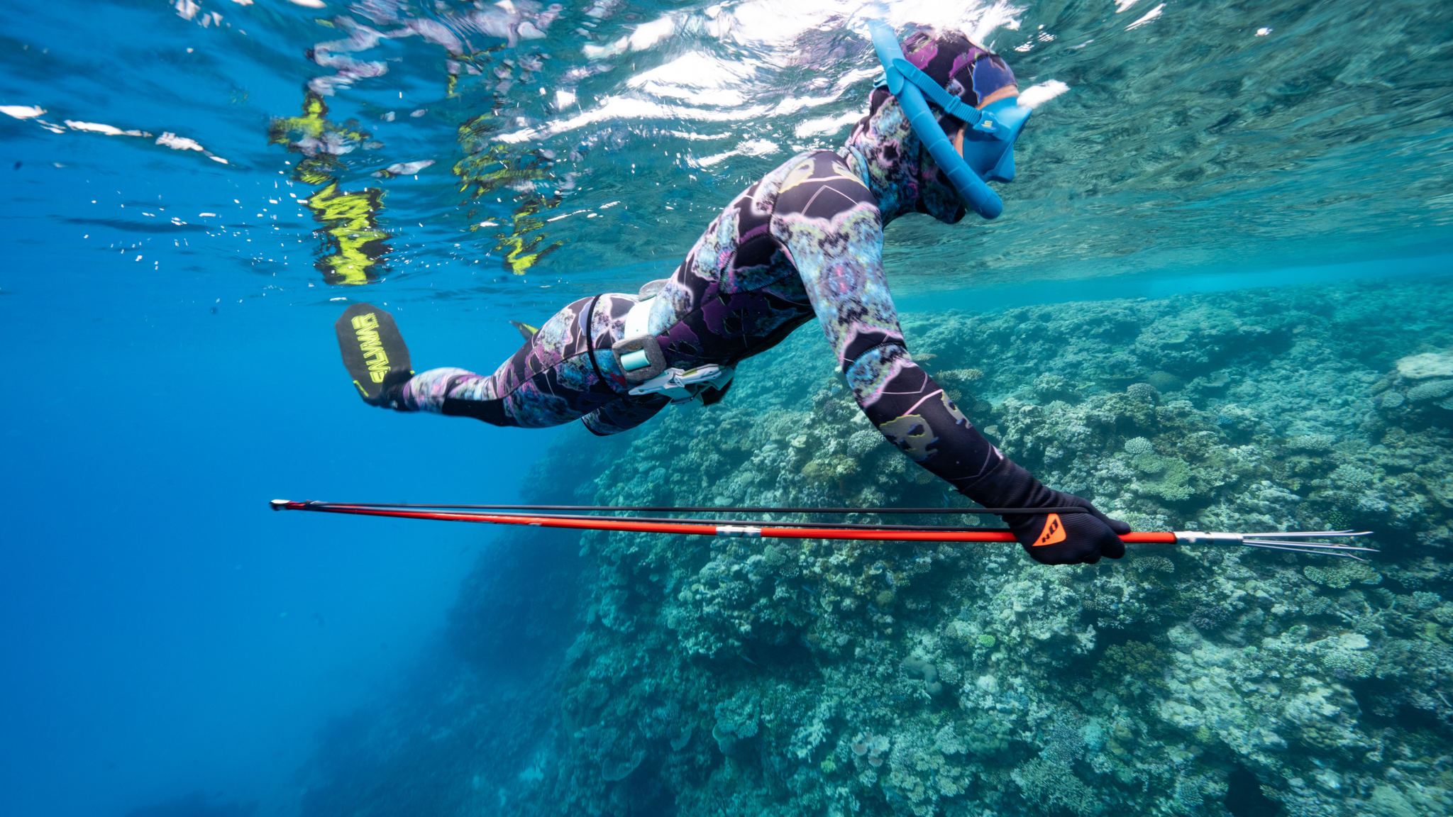 Pole spearfishing outlet
