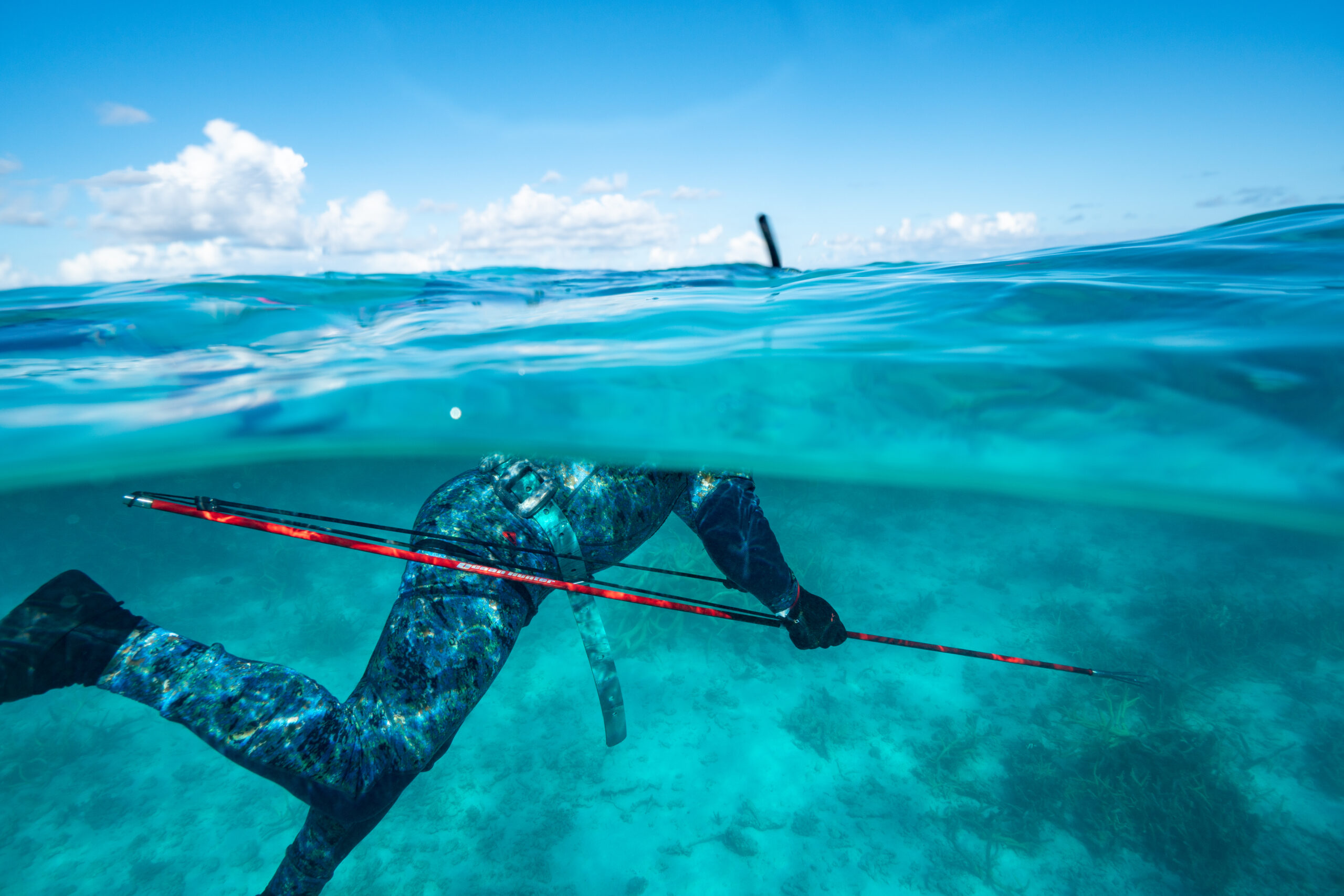 Back To Basics: A Comprehensive Guide To Hand Spearing - Spearfishing  Australia