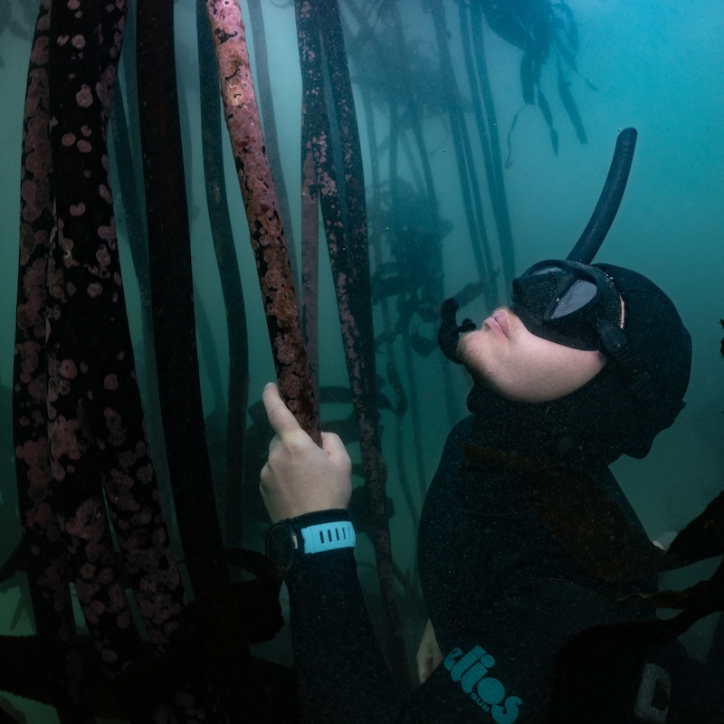Suunto Ocean_dive_4118